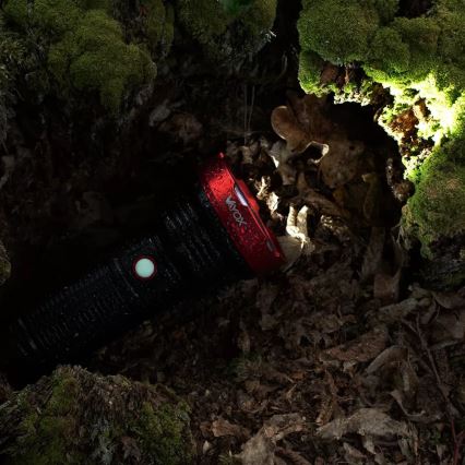 Torcia ricaricabile LED dimmerabile LED/20W/5V IPX5 2000 shiny 6000 mAh