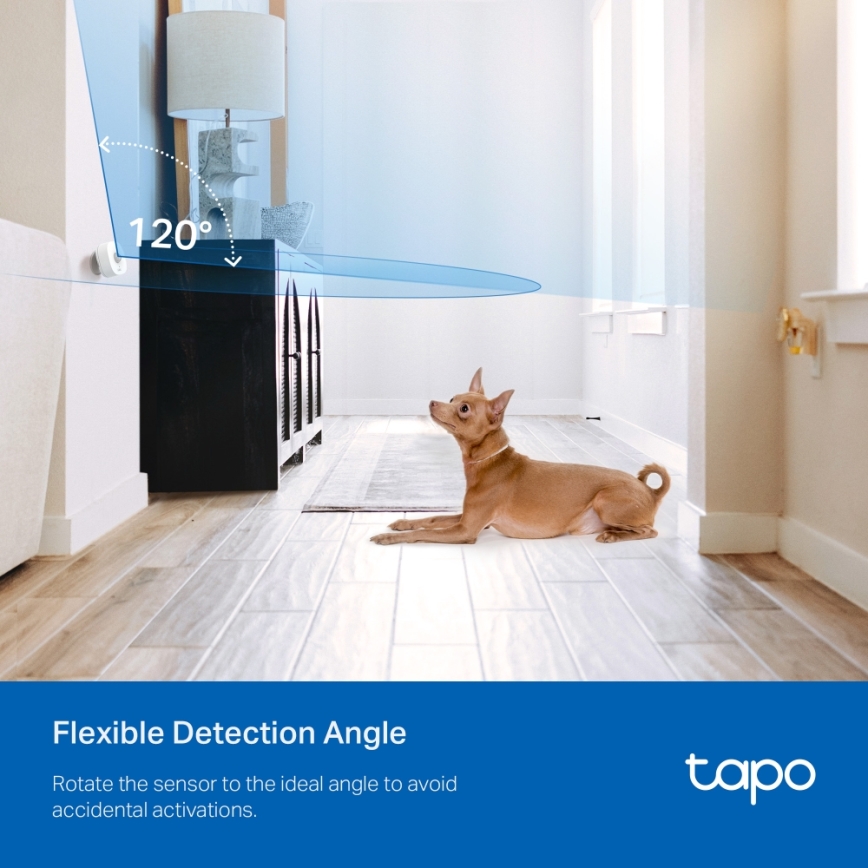 TP-Link - Détecteur de mouvement intelligent 1xCR2450