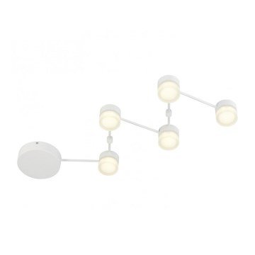 Trio - Dimmbare LED-Deckenleuchte NASHVILLE 5xLED/3W/230V