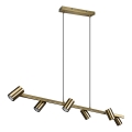 Trio - Lampadario a cavo MARLEY 6xGU10/35W/230V ottone