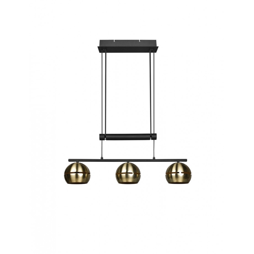 Trio - Lampadario a sospensione con filo FLETCHER 3xE14/40W/230V ottone