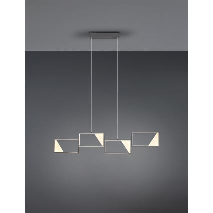 Trio - Lampadario LED Dimmerabile su corda CAFU 4xLED/7W/230V