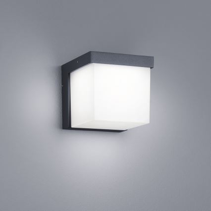 Trio - LED-Wandleuchte für Außenbereiche YANGTZE LED/4,5W/230V IP54 3000K