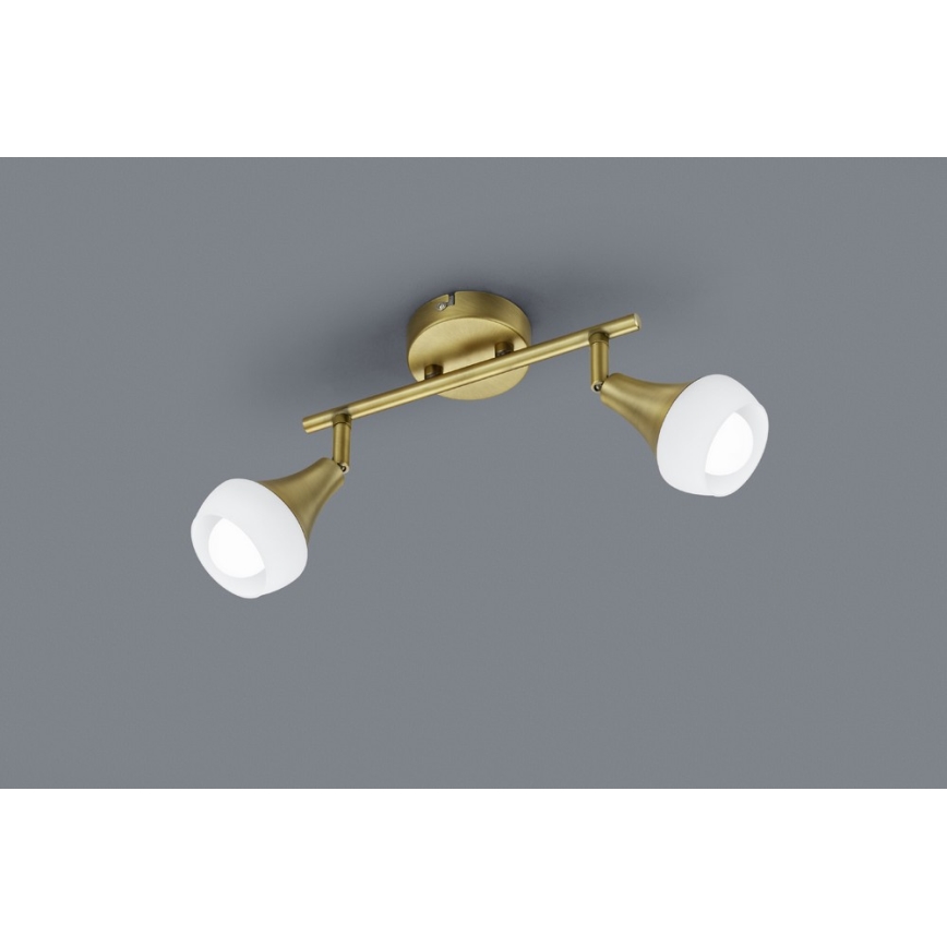 TRIO - Luce Spot TRUMPET 2xE14/40W/230V