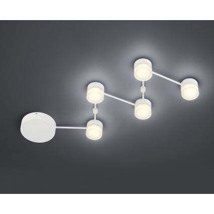 Trio - Plafoniera LED dimmerabile NASHVILLE 5xLED/3W/230V