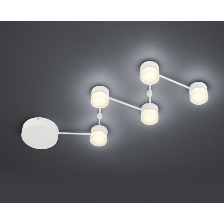 Trio - Plafoniera LED dimmerabile NASHVILLE 5xLED/3W/230V