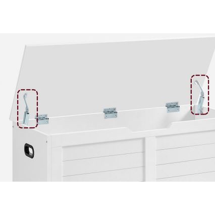 Truhe TOVIAN 100x46x40 cm weiß
