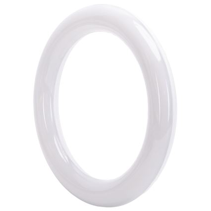Tube fluorescent à LED G10q/14W/230V 4000K - Aigostar