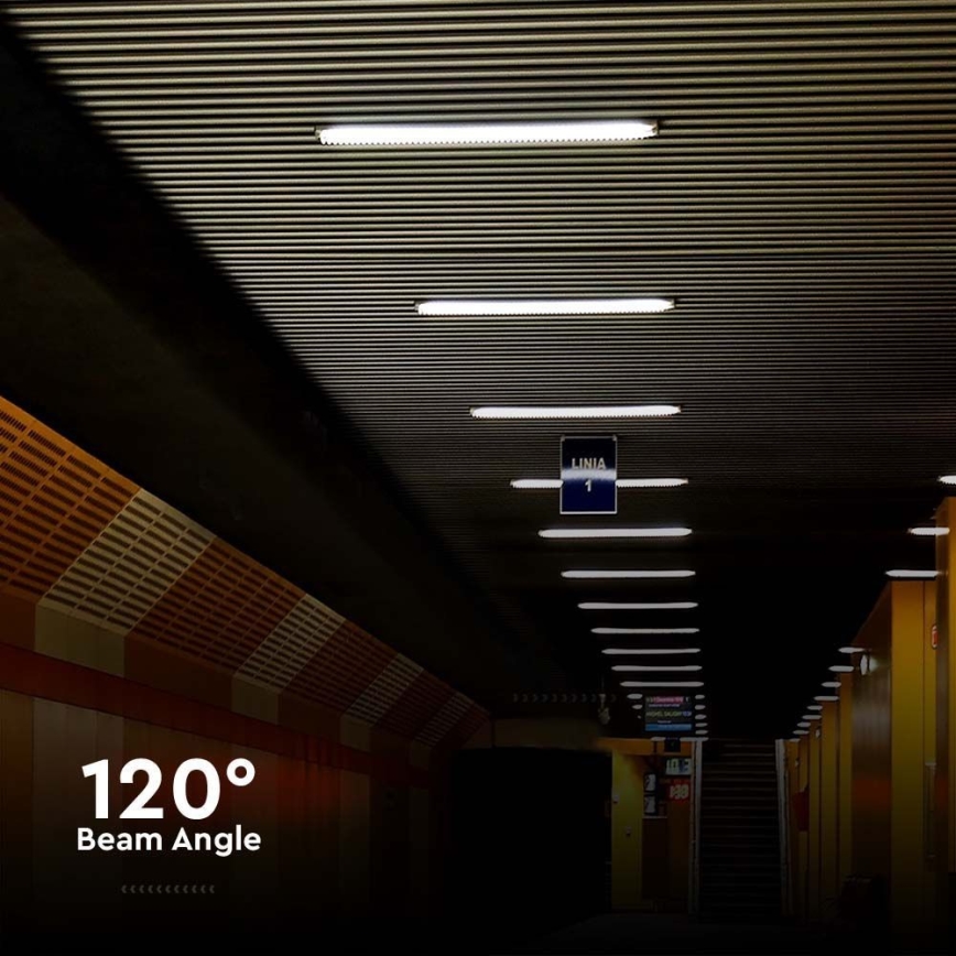 Tube fluorescent industriel LED/36W/230V 6500K IP65 120 cm