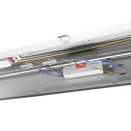 Tube fluorescent industriel LIMEA GIGANT PRO LED/20/26/33/40W/230V 6000K IK10 IP66 120 cm