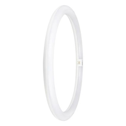 Tube fluorescent LED G10q/24W/230V 6500K - Osram