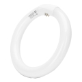 Tube fluorescent T9 G10Q/22W/230V 6500K - Aigostar