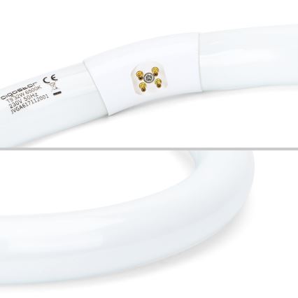 Tube fluorescent T9 G10q/32W/230V 6500K - Aigostar