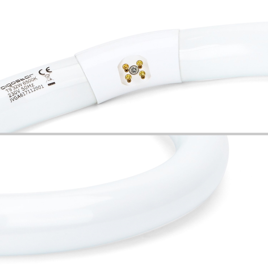 Tube fluorescent T9 G10q/32W/230V 6500K - Aigostar