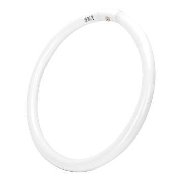 Tube fluorescent T9 G24q-1/40W/230V 6500K - Aigostar