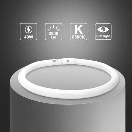 Tube fluorescent T9 G24q-1/40W/230V 6500K - Aigostar