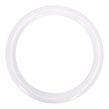Tube LED fluorescent G10q/17W/230V 6500K - Aigostar