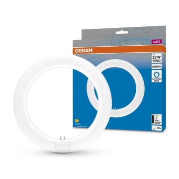 Tubo fluorescente LED G10q/11W/230V 6500K - Osram