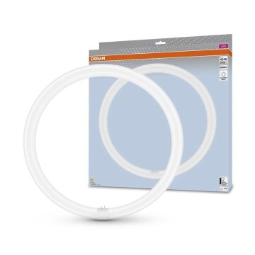 Tubo fluorescente LED G10q/24W/230V 4000K - Osram