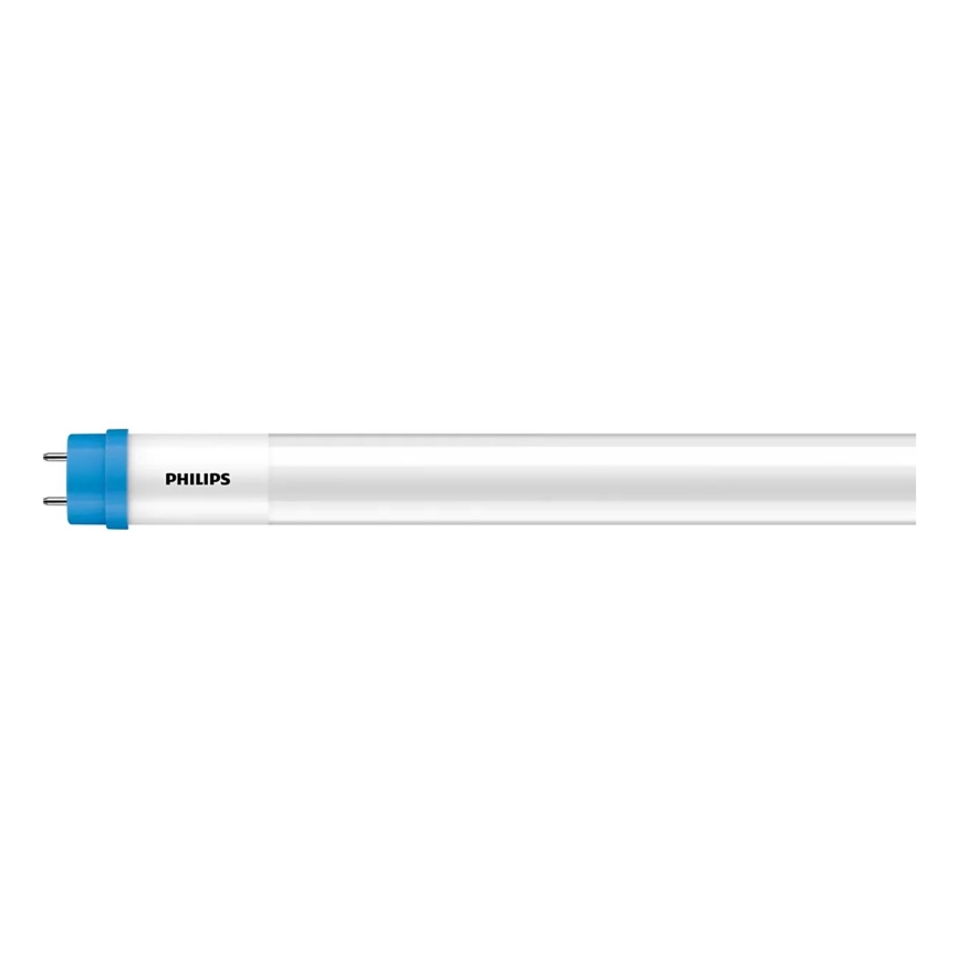 Tubo fluorescente LED Philips T8 G13/31,5W/230V 3000K 150 cm