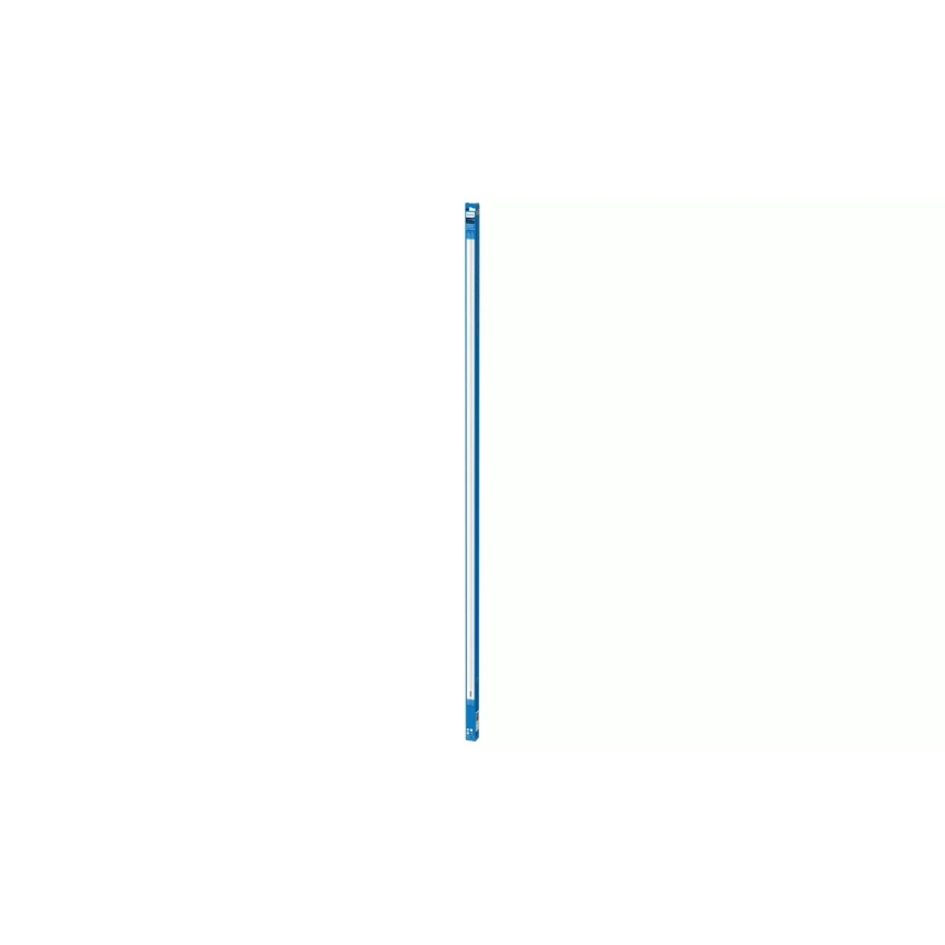 Tubo fluorescente LED Philips T8 G13/31,5W/230V 3000K 150 cm