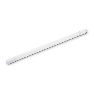 Tubo fluorescente LED T8 G13/8W/230V 6000K 60cm