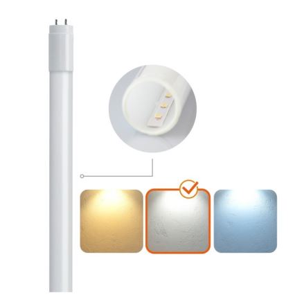 Tubo fluorescente LED T8 G13/9W/230V 4000K 60 cm