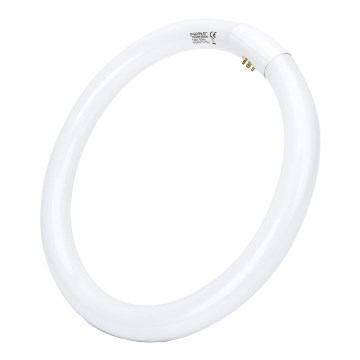 Tubo fluorescente T9 G24q-1/32W/230V 6500K - Aigostar