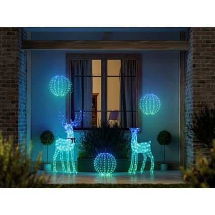 Twinkly - Renna natalizia da esterno dimmerabile LED RGBW REINGEERS 200xLED IP44 Wi-Fi