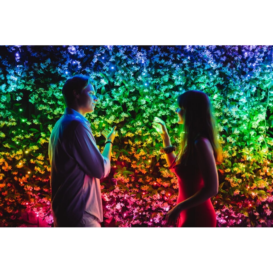 Twinkly - Dimmbare LED-RGB-Weihnachtslicherkette für den Außenbereich STRINGS 250xLED 23,5m IP44 Wi-Fi