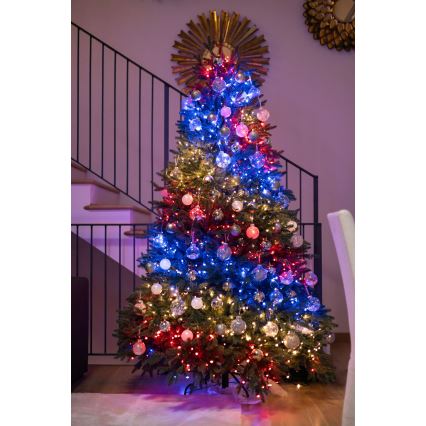 Twinkly - Dimmbare LED-RGBW-Weihnachtskette für den Außenbereich STRINGS 250xLED 23,5m IP44 Wi-Fi