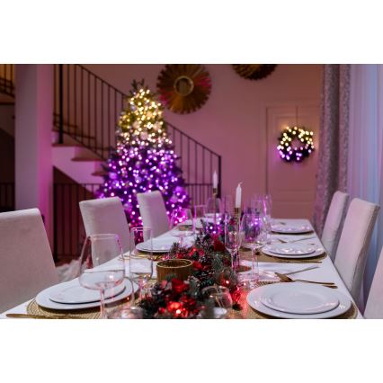 Twinkly - Dimmbare LED-RGBW-Weihnachtskette für den Außenbereich STRINGS 250xLED 23,5m IP44 Wi-Fi