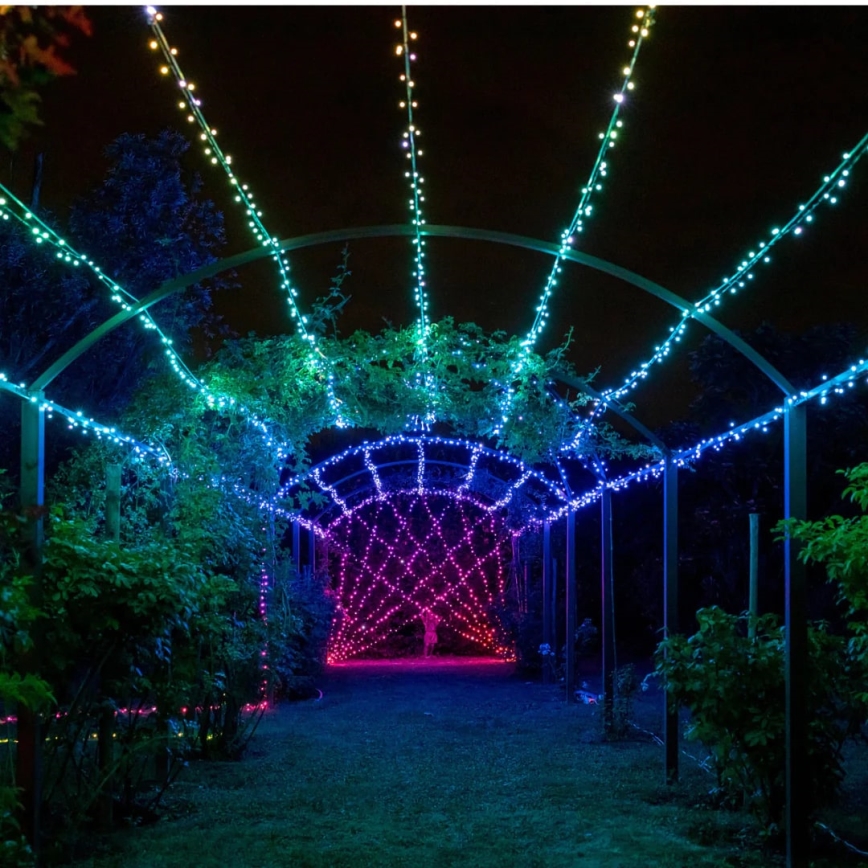 Twinkly - Dimmbare LED-RGBW-Weihnachtskette für den Außenbereich STRINGS 250xLED 23,5m IP44 Wi-Fi