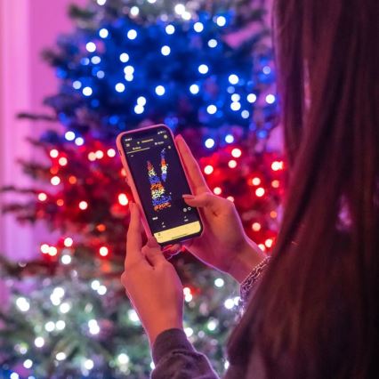 Twinkly - Dimmbare LED-RGBW-Weihnachtskette für den Außenbereich STRINGS 250xLED 23,5m IP44 Wi-Fi