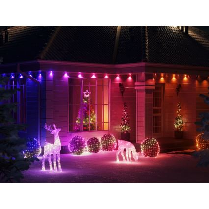 Twinkly - LED RGB Dimmerabile per esterni Catena natalizia STRINGS 750xLED 63,5m IP44 Wi-Fi