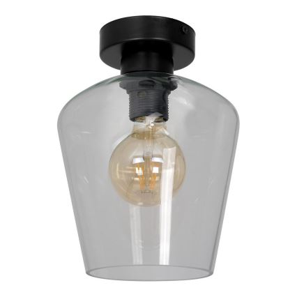 Universal-Ersatzglas SANTIAGO E27 d 18 cm klar