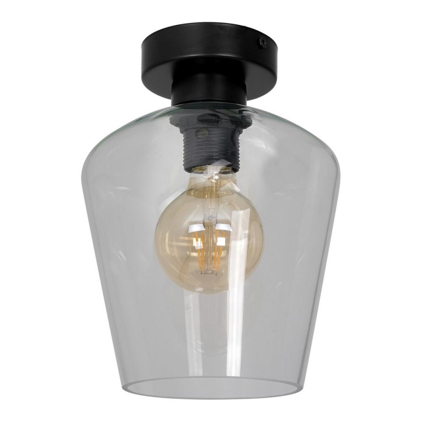 Universal-Ersatzglas SANTIAGO E27 d 18 cm klar