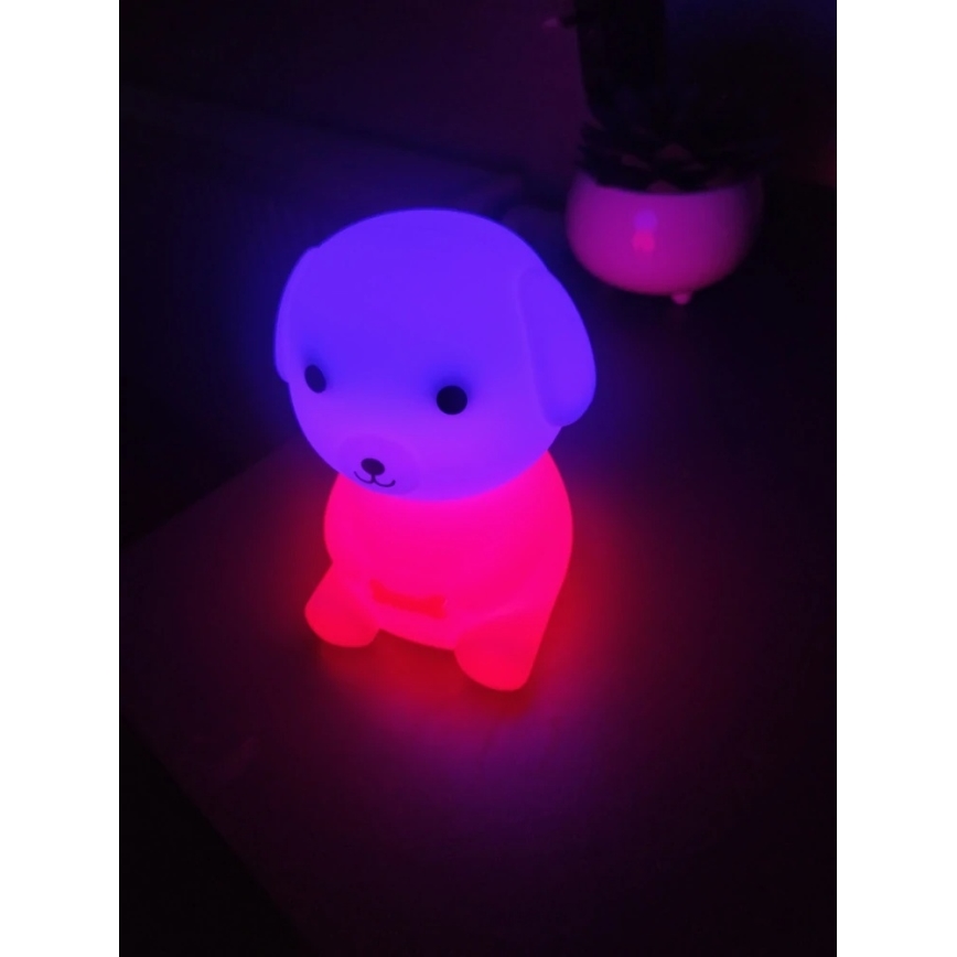 Veilleuse pour enfants LED RGBW dimmable rechargeable LED/2,5W/5V 3000K 1200 mAh motif chien