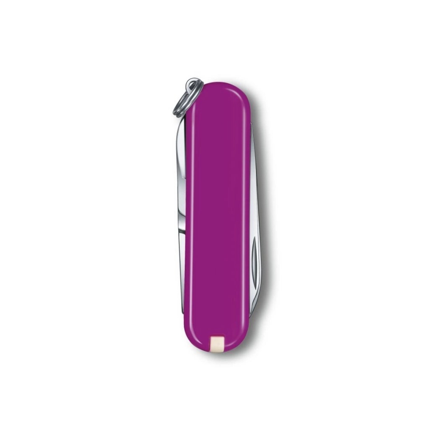 Victorinox - Couteau de poche multifonction CLASSIC SD 5,8 cm/7 fonctions violet