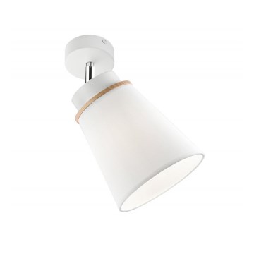 Wand-Spotlight AGUSTINO 1xE27/60W/230V