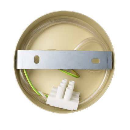 Wandleuchte CAPITAL 1xGX53/15W/230V goldfarben