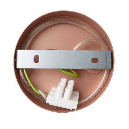 Wandleuchte CAPITAL 1xGX53/15W/230V Roségold