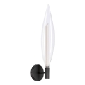 Wandleuchte NORDIC 1xG9/5W/230V schwarz/transparent