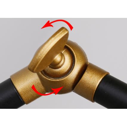 Wandleuchte TRUCK 1xE27/40W/230V gold/schwarz