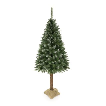 Weihnachtsbaum 220 cm – Fichte