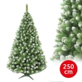 Weihnachtsbaum 250 cm Kiefer