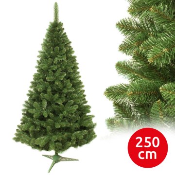 Weihnachtsbaum 250 cm, Tanne