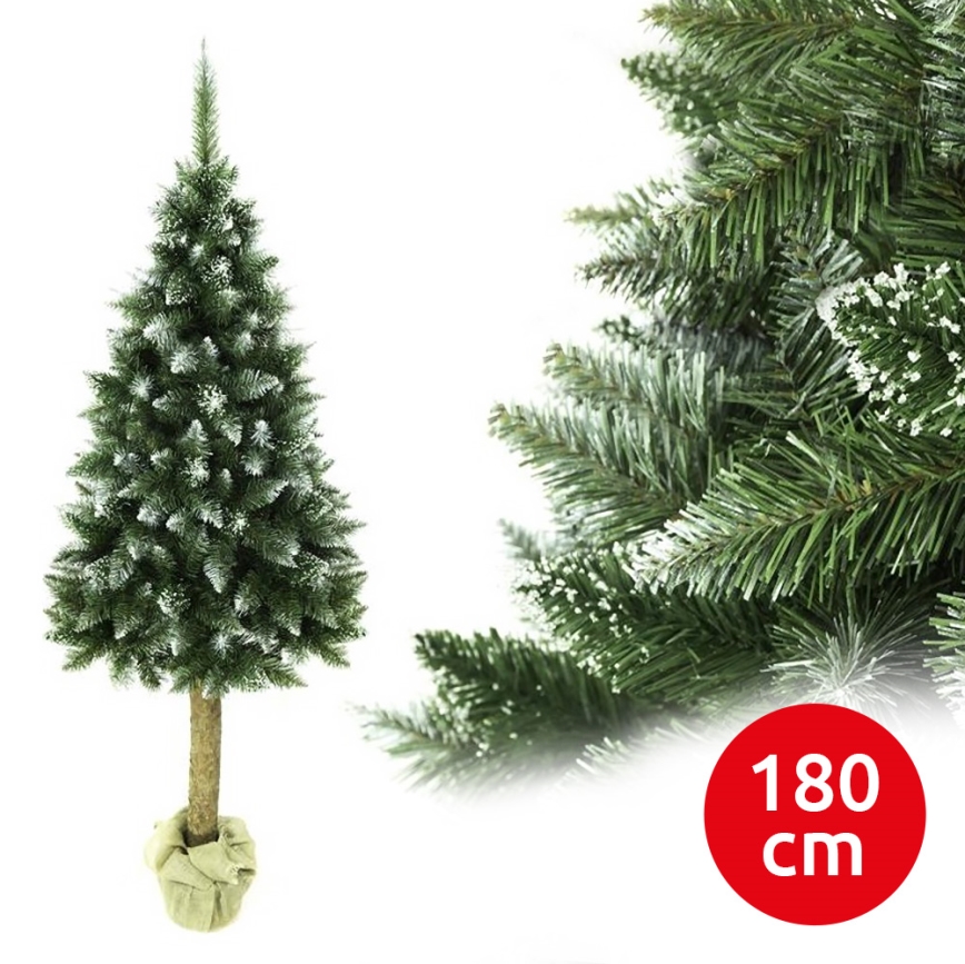 Weihnachtsbaum auf einem Baumstamm 180 cm Tanne