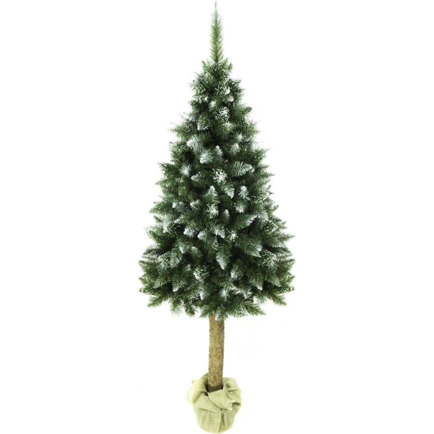 Weihnachtsbaum auf einem Baumstamm 180 cm Tanne