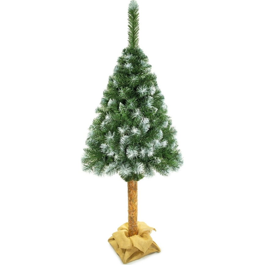 Weihnachtsbaum auf einem Baumstamm 220 cm Kiefer